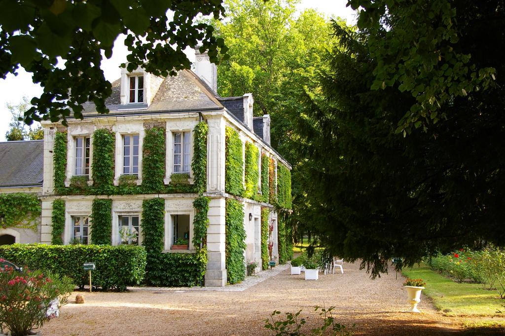 Hostellerie Du Chateau De L'Isle La Croix-en-Touraine Rum bild